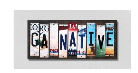 WS-511 GA Native License Plate Strips Novelty Wood Signs - 6 x 1.5 in.