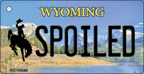KC-10546 Spoiled Wyoming State License Plate Key Chain - 3.5 x 2 in.