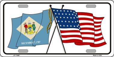 LP-11468 6 x 12 in. Delaware Crossed US Flag License Plate