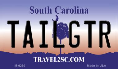 M-6269 3.5 x 2 in. Tailgtr South Carolina State License Plate Magnet