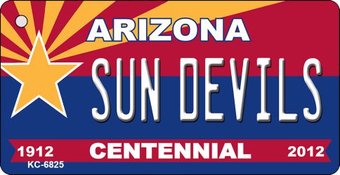 KC-6825 3.5 x 2 in. Skool Suks Arizona Centennial State License Plate Key Chain