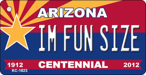 KC-1823 3.5 x 2 in. I am Fun Size Arizona Centennial State License Plate Key Chain