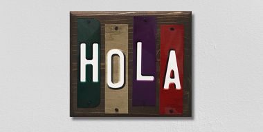 WS-109 1.5 x 6 in. Hola Fun Strips Novelty Wood Sign