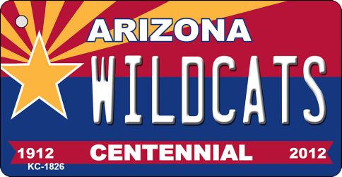 KC-1826 3.5 x 2 in. Wildcats Arizona Centennial State License Plate Key Chain