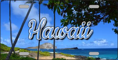 LP-11595 6 x 12 in. Hawaii Palm Trees State License Plate