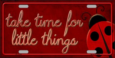 LP-11728 6 x 12 in. Take Time for Little Things Novelty License Plate