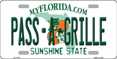 LP-11770 6 x 12 in. Pass A Grille Novelty License Plate