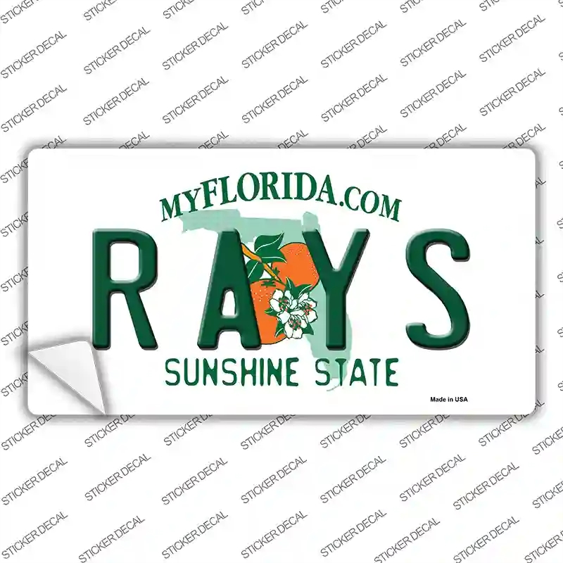 LP-2084s-L Rays Florida State Novelty Sticker Decal, Large