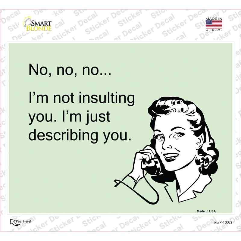 P-1002s-M Im Not Insulting You Novelty Rectangle Sticker Decal, Medium