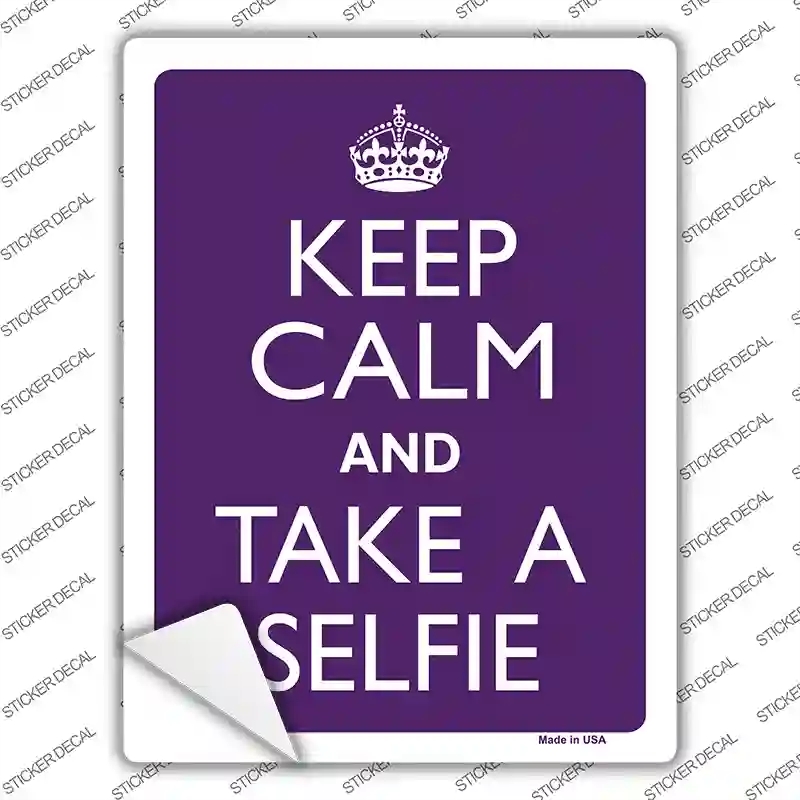 P-1082s-L Keep Calm Take Selfie Novelty Rectangle Sticker Decal, Large
