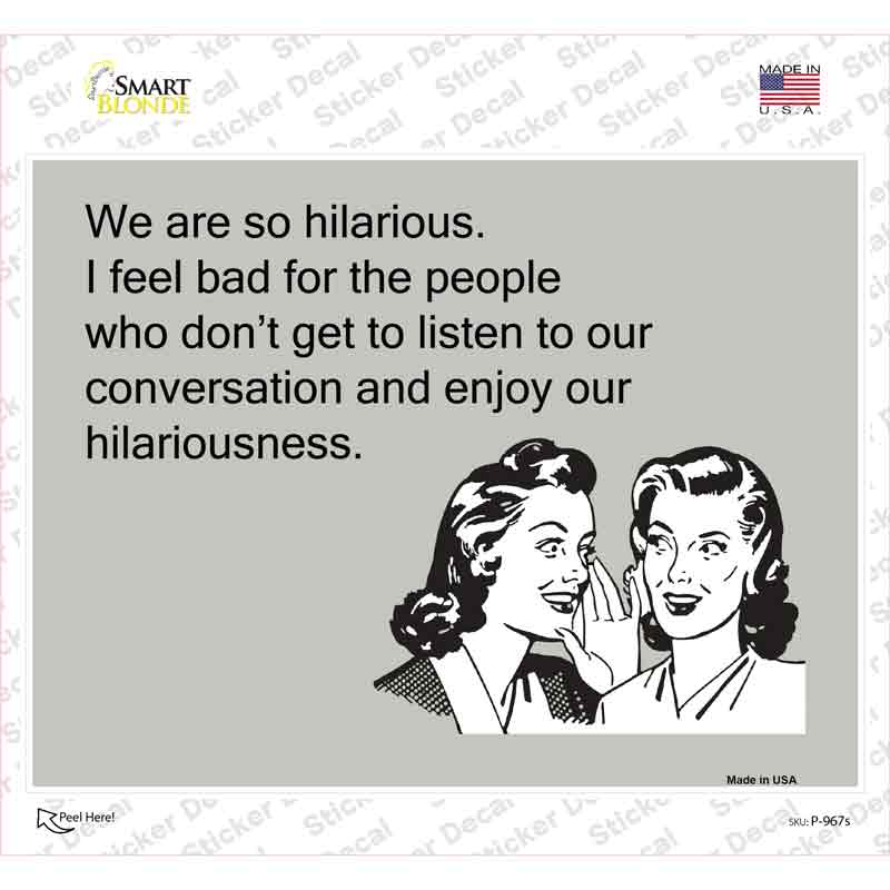 P-967s-M We Are So Hilarious Novelty Rectangle Sticker Decal, Medium