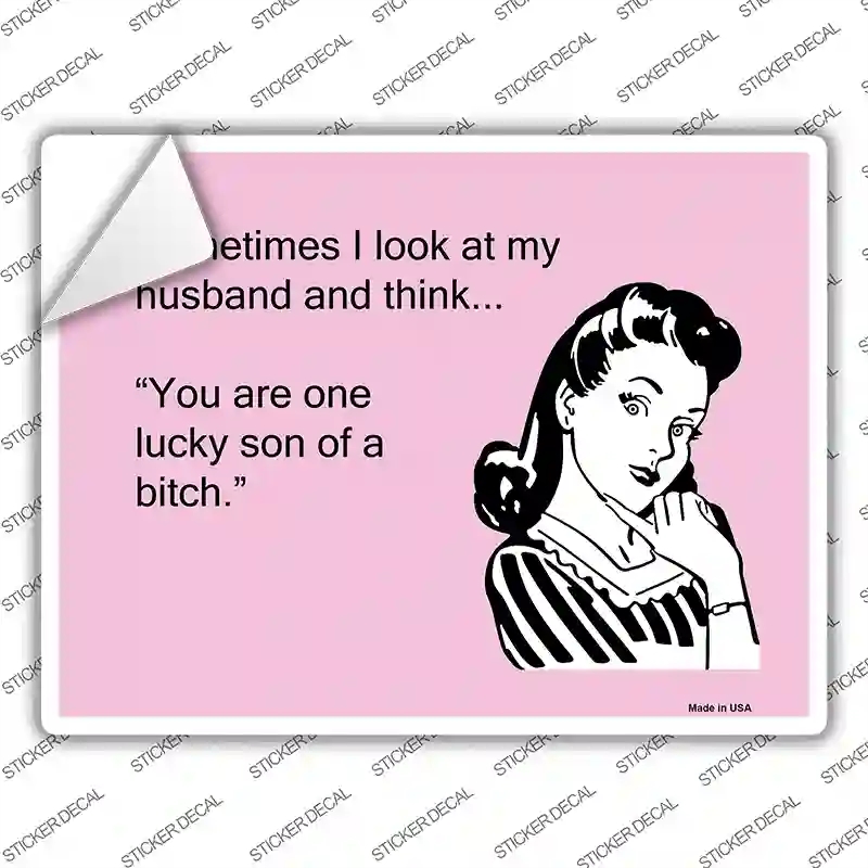 P-979s-S Sometimes I Look At My Husband Novelty Rectangle Sticker Decal, Small