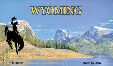 M-10511 3.5 x 2 in. Wyoming Blank State License Plate Magnet