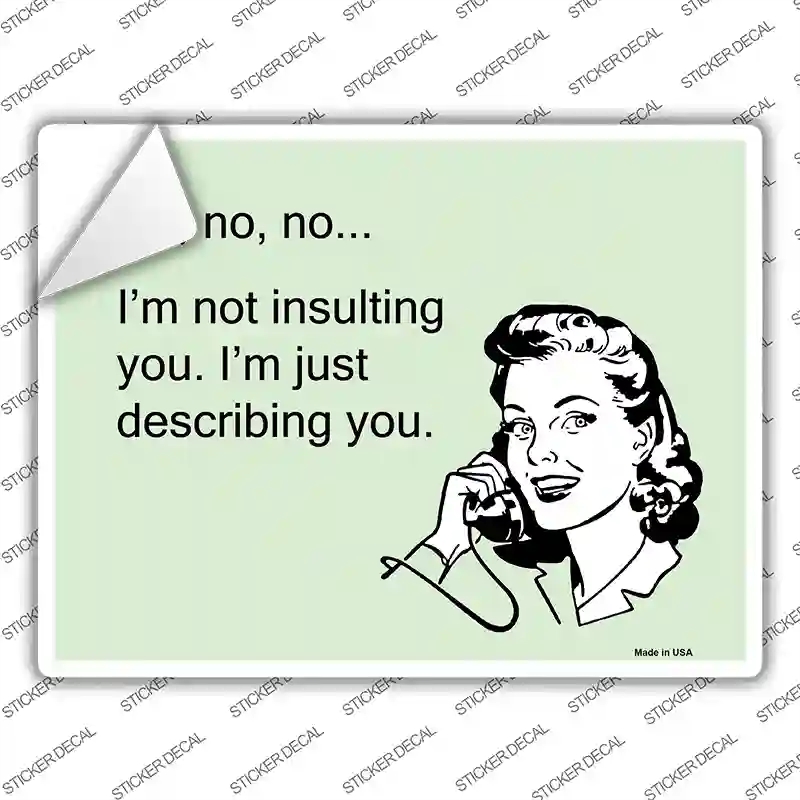 P-1002s-L Im Not Insulting You Novelty Rectangle Sticker Decal, Large