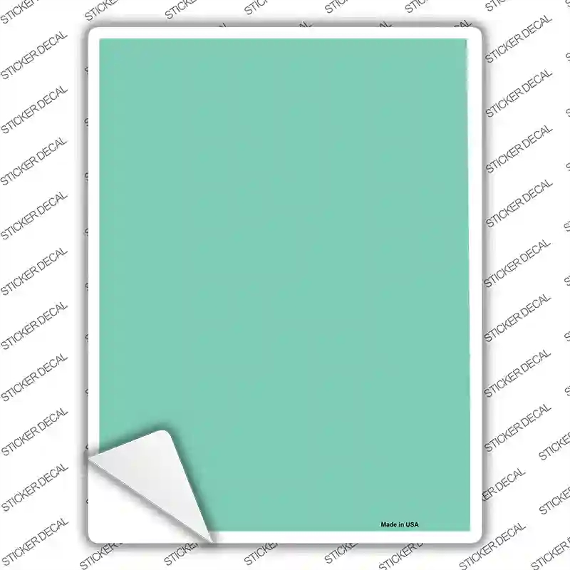 P-1711s-XL Mint Blank Novelty Rectangle Sticker Decal, Extra Large