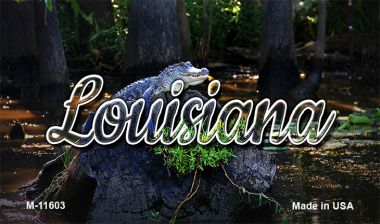 M-11603 3.5 x 2 in. Louisiana Alligator Swamp Magnet