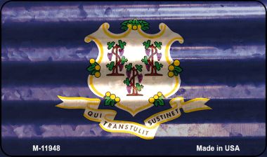 M-11948 3.5 x 2 in. Connecticut Corrugated Flag Novelty Magnet