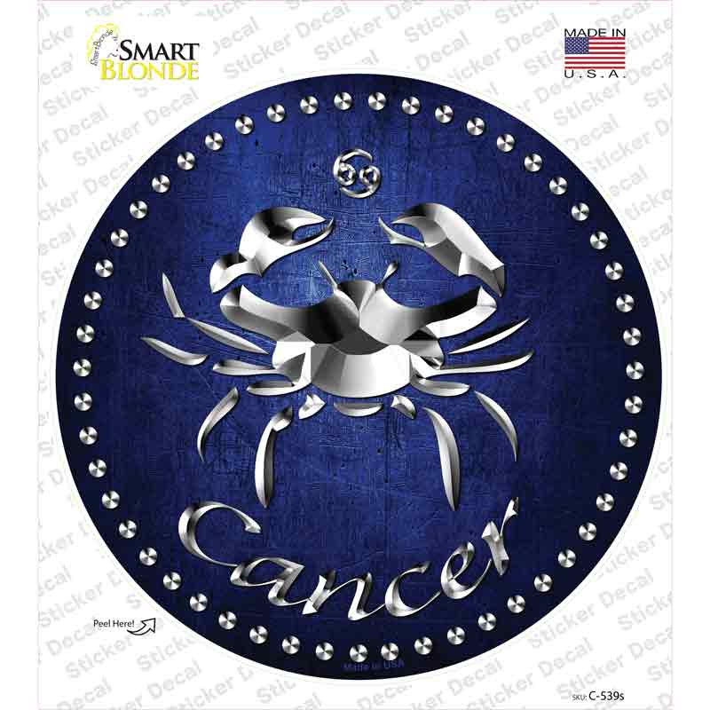 C-539s-M Cancer Novelty Circle Sticker Decal, Medium