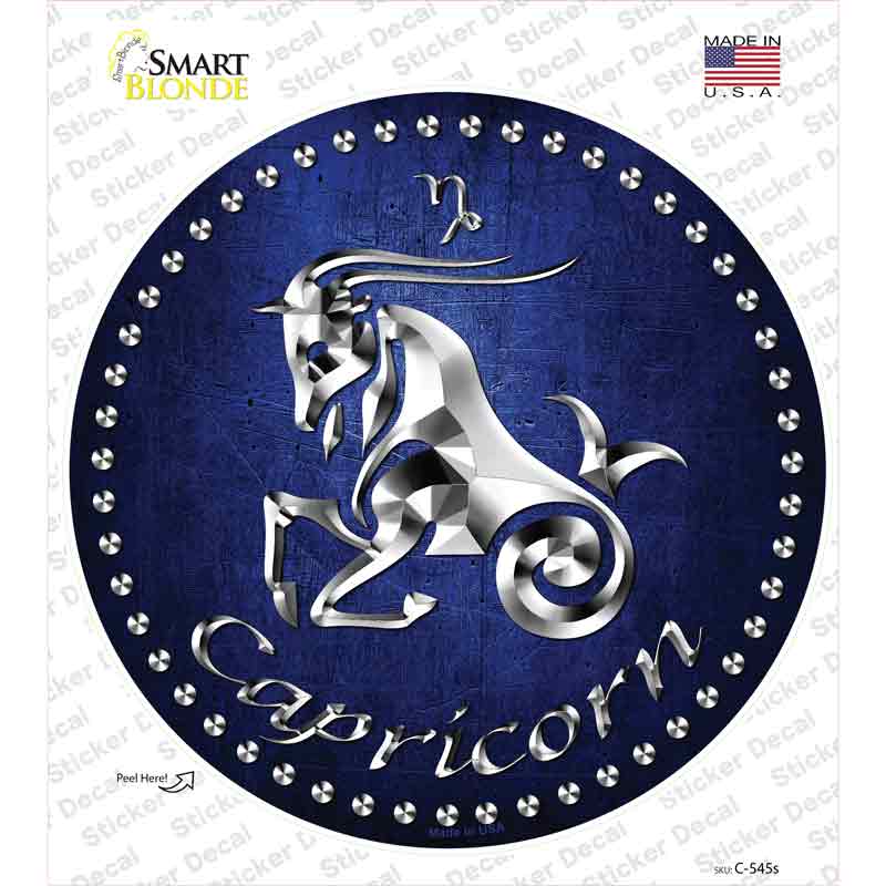 C-545s-M Capricorn Novelty Circle Sticker Decal, Medium