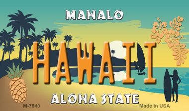 M-7840 3.5 x 2 in. Hawaii Pineapple Novelty Metal Magnet