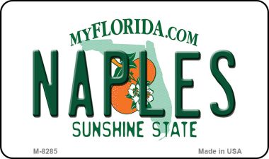 M-8285 3.5 x 2 in. Naples Florida State License Plate Magnet