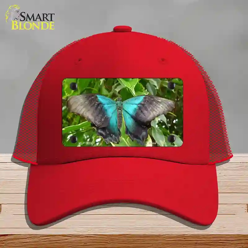 HAT17-MLP-11237 Butterfly Blue & Black Novelty License Plate Hat, Mesh - Red