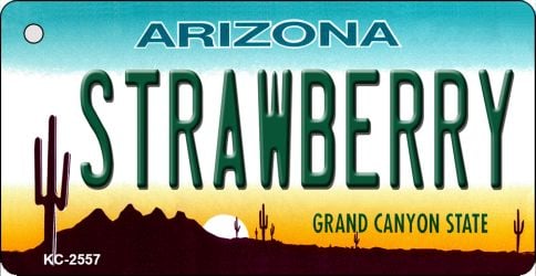 SMART BLONDE Strawberry Arizona State License Plate Tag Key Chain KC-2557