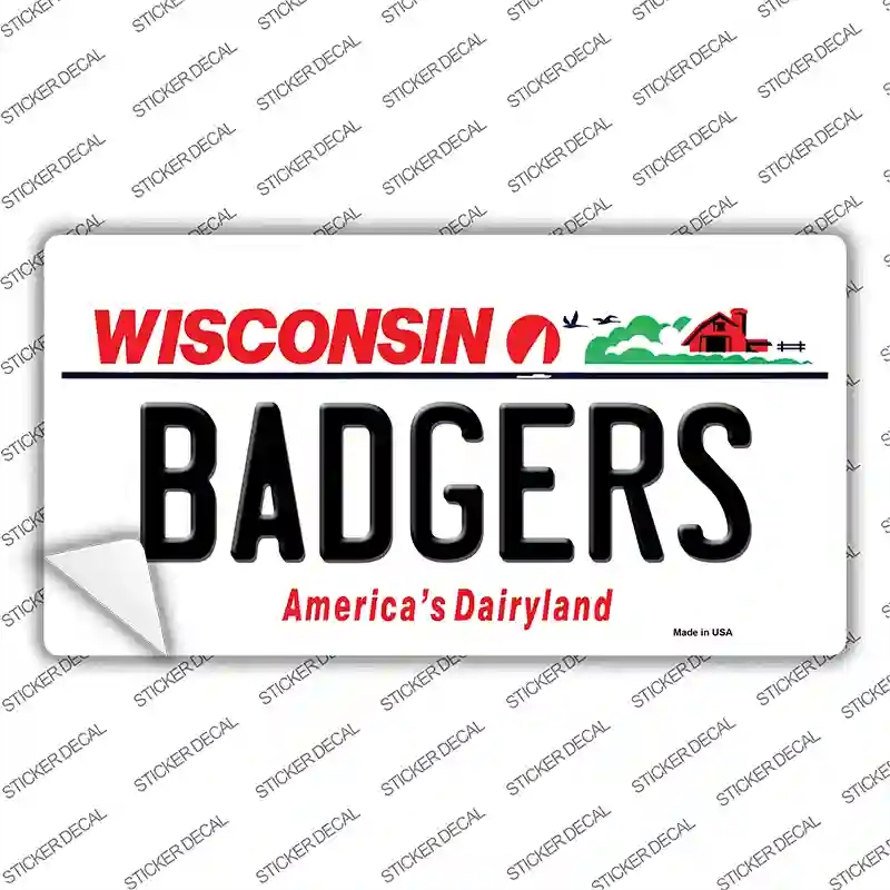 LP-12207s-L decalrs Wisconsin Novelty Sticker Decal, Large