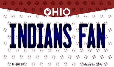 M-10788 3.5 x 2 in. Indians Fan Ohio State License Plate Magnet