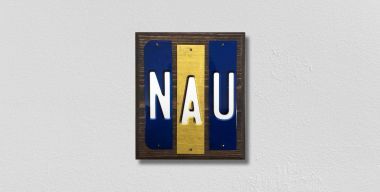 WS-229 NAU Fun Strips Novelty Wood Signs