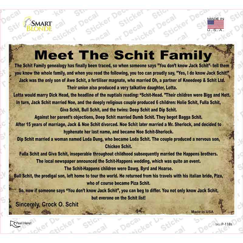 P-118s-M Meet the Schit Family Novelty Rectangle Sticker Decal, Medium