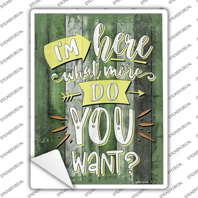 P-3490s-XL What More Do You Want Novelty Rectangular Sticker Decal, Extra Large