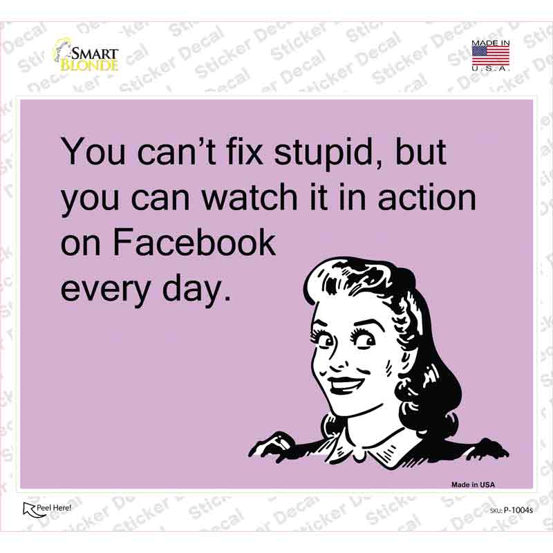 P-1004s-M You Cant Fix Stupid Novelty Rectangle Sticker Decal, Medium