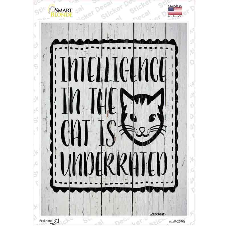 P-2640s-M Intelligence in the Cat Novelty Rectangular Sticker Decal, Medium