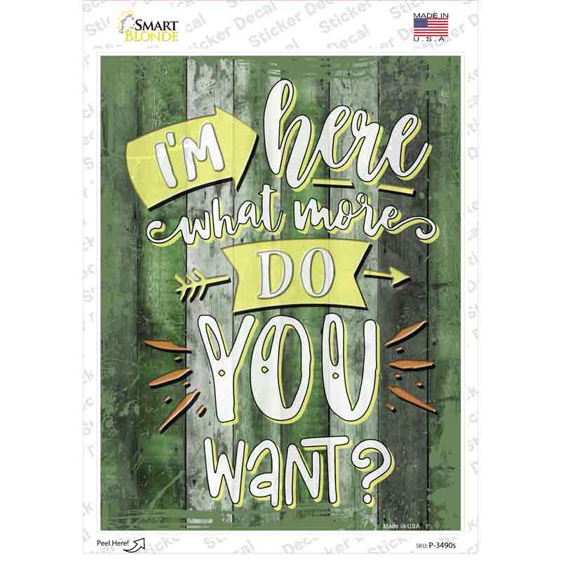 P-3490s-M What More Do You Want Novelty Rectangular Sticker Decal, Medium