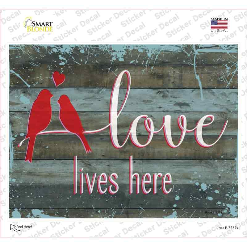 P-3537s-M Love Lives Here Novelty Rectangular Sticker Decal, Medium