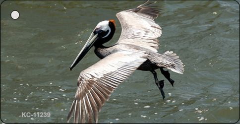 KC-11239 Pelican in Flight Novelty Aluminum Key Chain