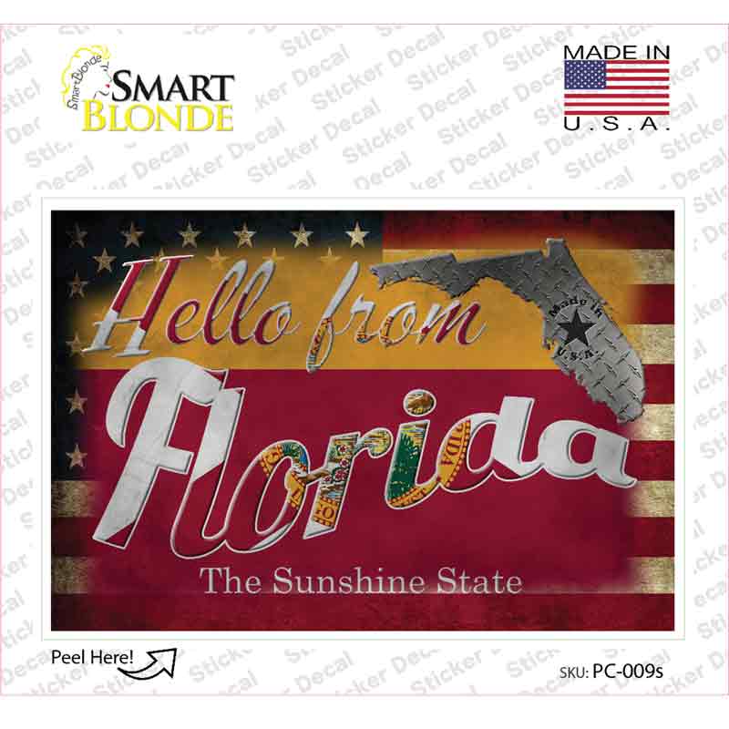 PC-009s-M Hello From Florida Novelty Postcard Sticker Decals, Medium