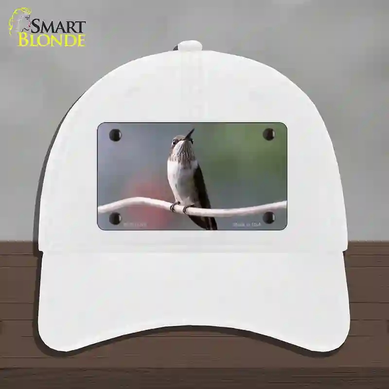 HAT14-MLP-11246 Hummingbird Perched on Branch Novelty License Plate Hat, Unconstructed Cotton - White
