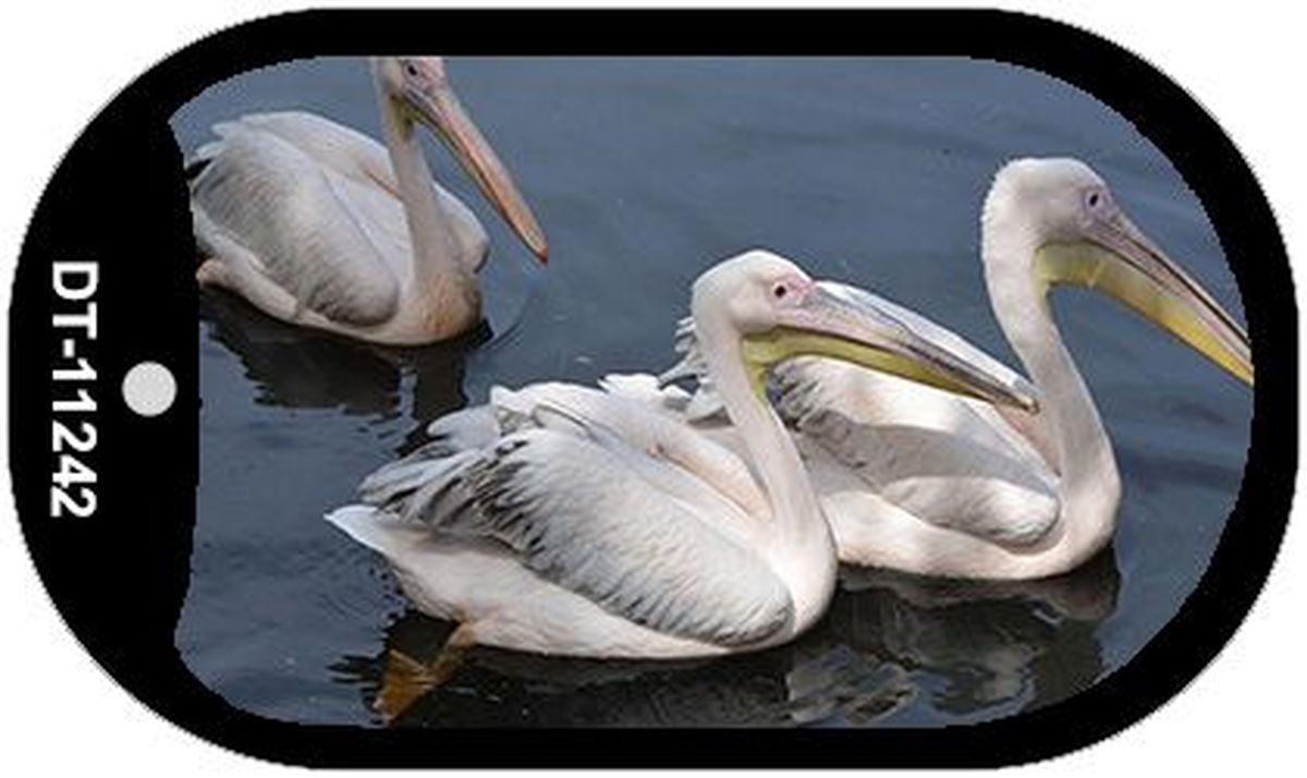 Picture of Smart Blonde DT-11242 1.5 x 2 in. Pelican - Three On Water Novelty Metal Dog Tag Necklace