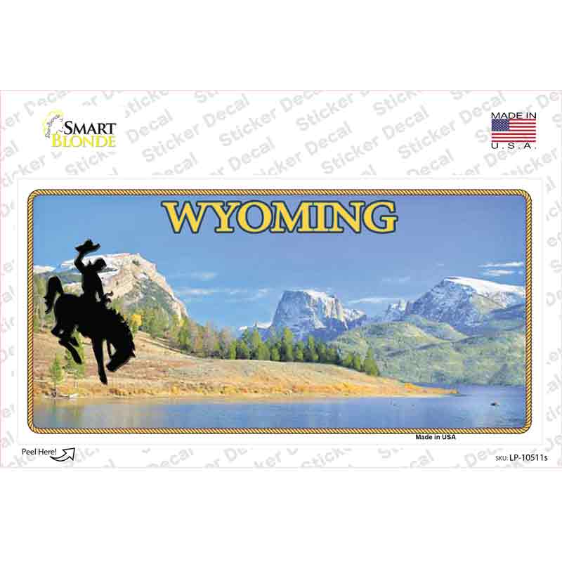 LP-10511s-M Wyoming Blank Novelty Sticker Decal, Medium