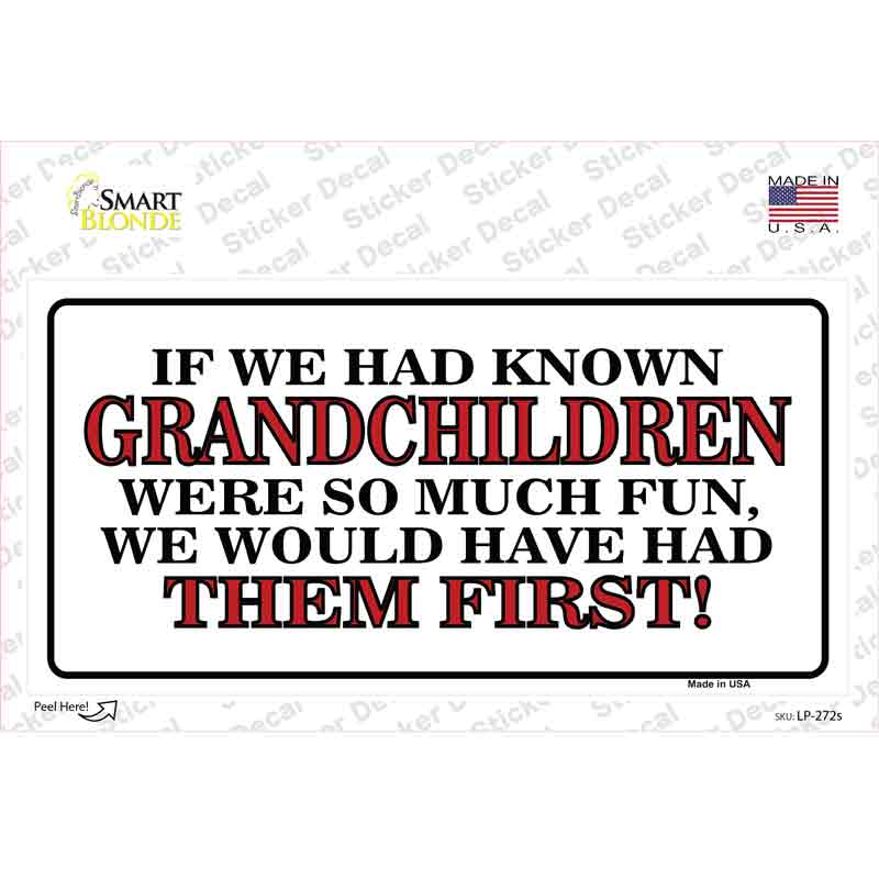 LP-272s-M Grandchildren First Novelty Sticker Decal, Medium