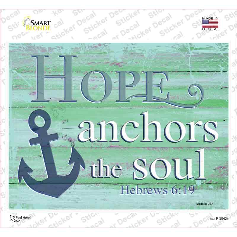 P-3542s-M Hope Anchors the Soul Novelty Rectangular Sticker Decal, Medium