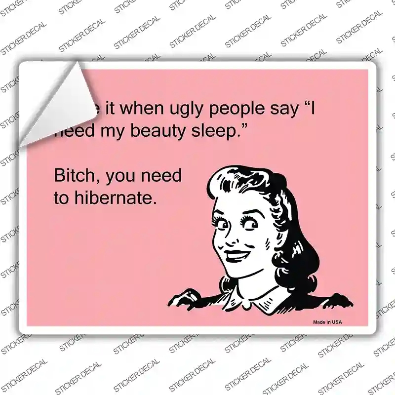 P-901s-XL I Hate When Ugly People Say Novelty Rectangle Sticker Decal, Extra Large