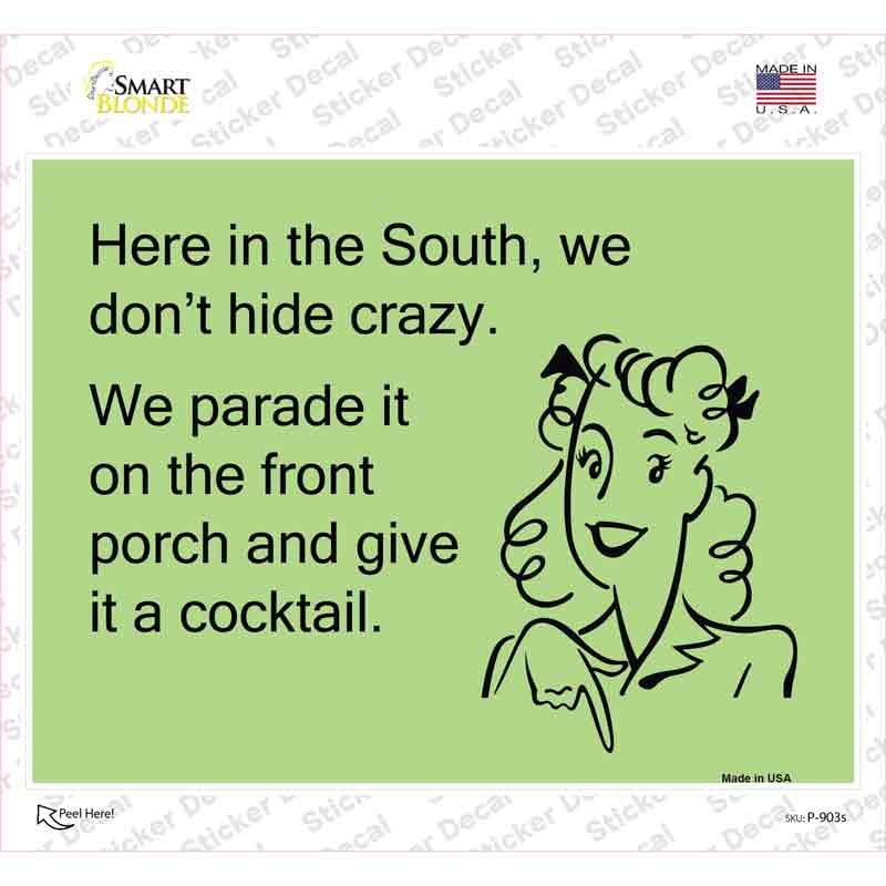 P-903s-M Here in the South, We Dont Hide Crazy Novelty Rectangle Sticker Decal - Medium