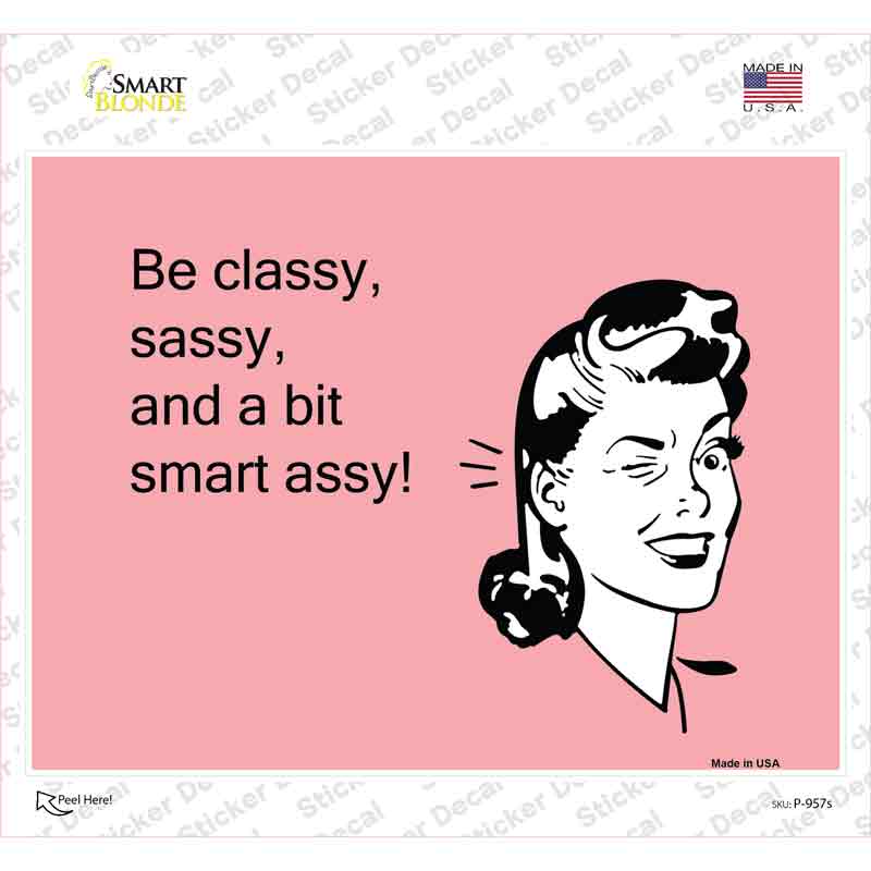 P-957s-M Classy Sassy Smart Assy Novelty Rectangle Sticker Decal, Medium