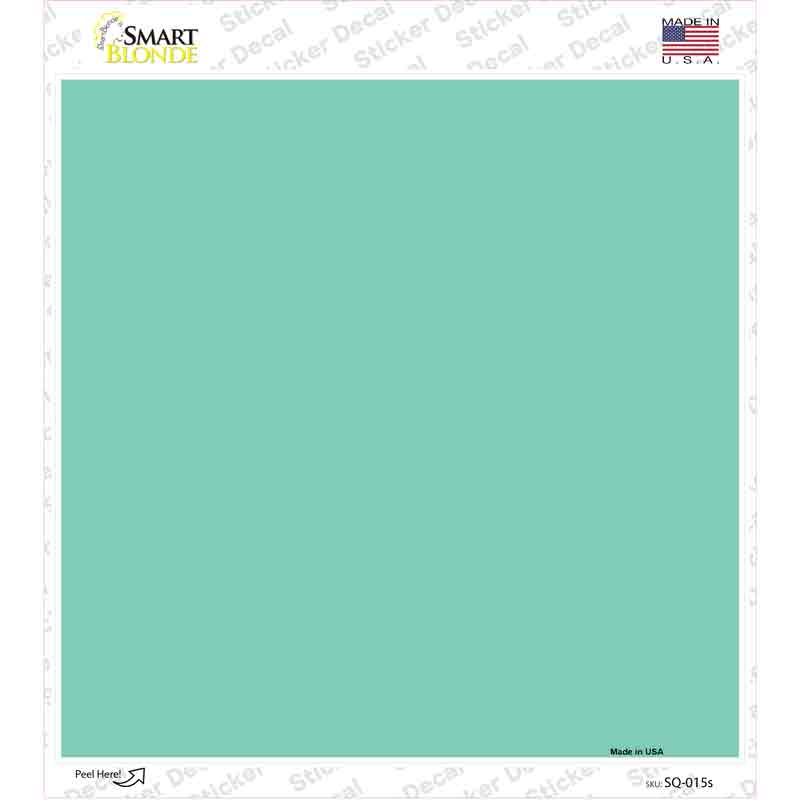 SQ-015s-M Mint Solid Novelty Square Sticker Decal, Medium