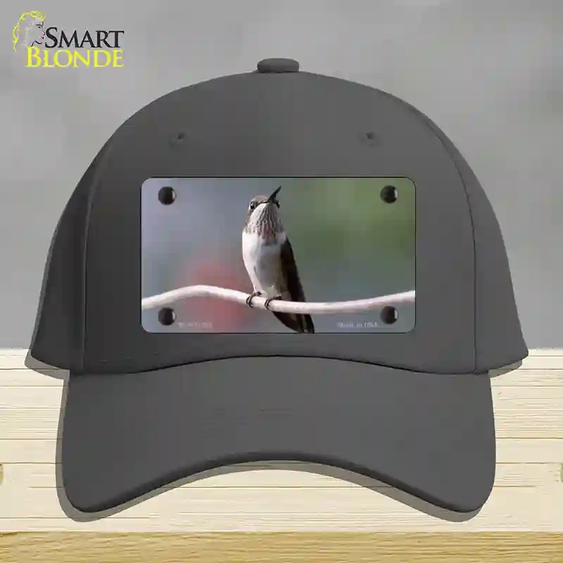 HAT04-MLP-11246 Hummingbird Perched on Branch Novelty License Plate Hat, Cotton - Charcoal