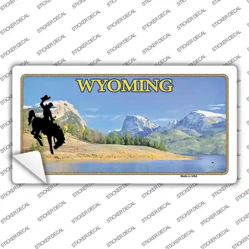 LP-10511s-L Wyoming Blank Novelty Sticker Decal, Large