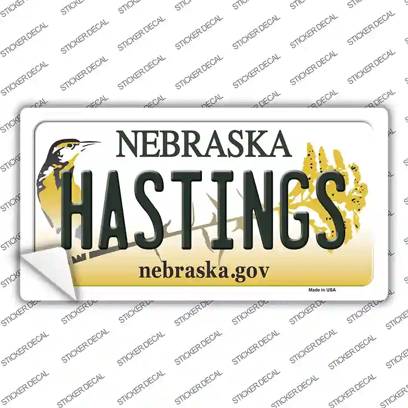 LP-10607s-L Hastings Nebraska Novelty Sticker Decal, Large